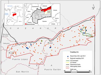 Soil carbon storage potential of acid soils of Colombia's Eastern High Plains